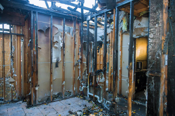 Professional Soot Cleanup technician working in Clifton, IL
